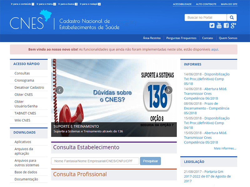 cnes consulta